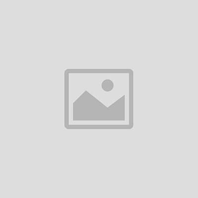Disco Duro HPE 300GB SCSI U320 15K 3.5 Universal Hot-Plug | 411089-B22